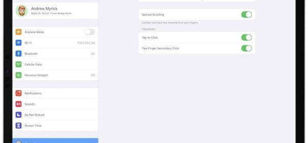 Queste applicazioni sfruttano le nuove funzionalità del trackpad di iPadOS 13.4