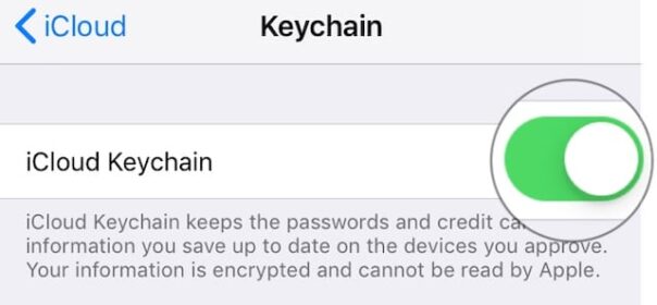 Le password di Safari sono scomparse o sono scomparse sul vostro iPhone? Come risolvere il problema
