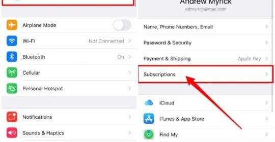 Come annullare l'iscrizione a un'applicazione su iPhone o iPad