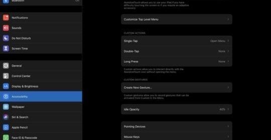 Come impostare un Bluetooth o un Magic Mouse con iPadOS