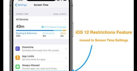 Abilitazione delle restrizioni su iPad