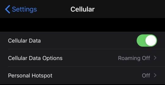 Dati cellulari non funzionanti su iPhone XS Max con iOS 13, Come risolvere
